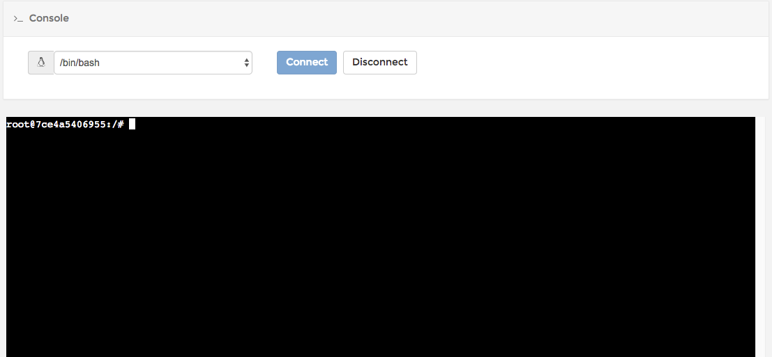 Portainer Bash console